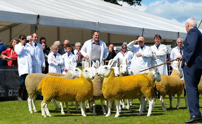 Massive fundraising effort launched to save Royal Highland Show
