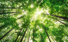 Schroders unveils 'Plan for Nature'