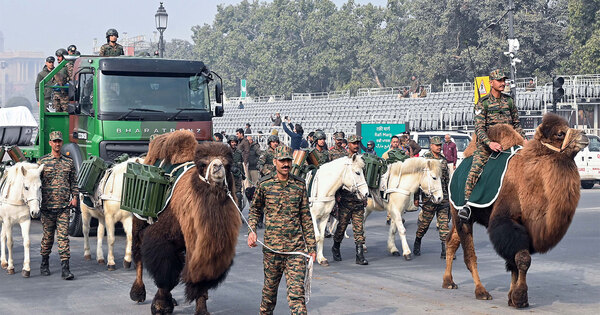 Bactrian camels , Zanskar ponies , raptors and dogs ; 77th Republic Day to showcase Indian Army deep bond with its service animals