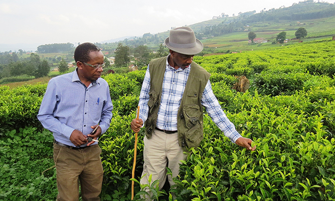 Tea suppliers warned against fake claims Tea suppliers warned against fake claims