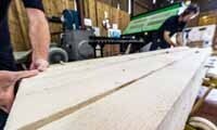 BSW Timber invests £3.6m in UK's fencing market