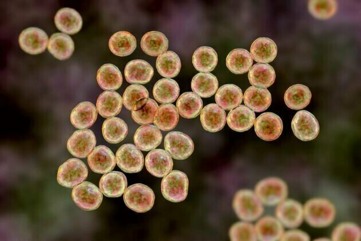 AI has produced 2 new antibiotics to kill 'superbugs'. It's promising - but we shouldn't get too excited yet