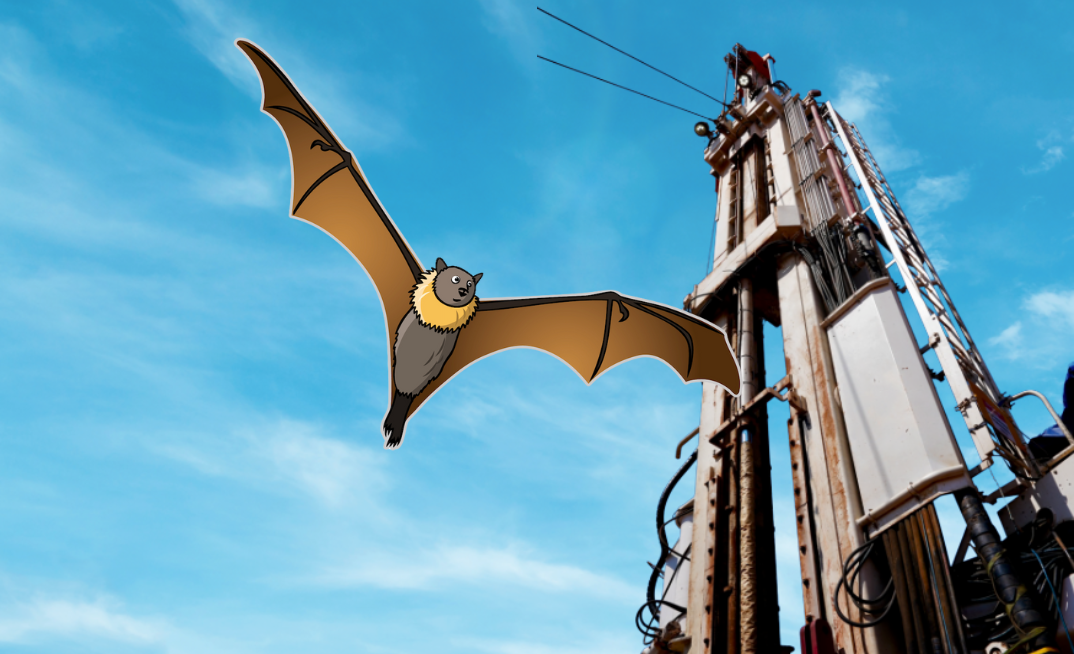 'Flying Fox' emerges as a gas boost prospect for Raphael discovery