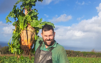 A focus on nutrition helps drive fodder beet yields on a mixed farm in Mid Wales