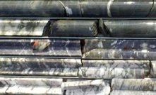 Drill cores from the Zulu exploration site