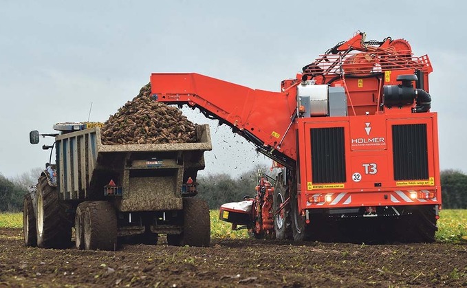 Better weather promises beet yield boost amid season's challenges