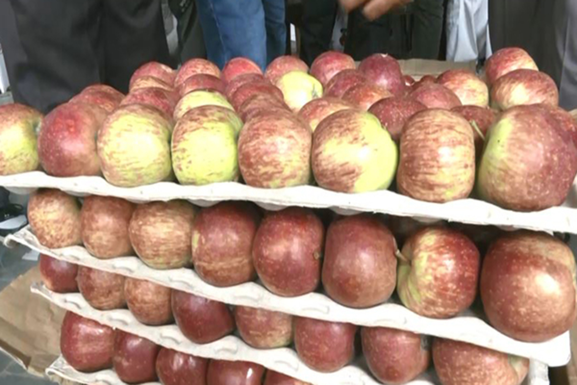 Himchal Pradesh: Early apple varieties fetching high prices in wholesale markets