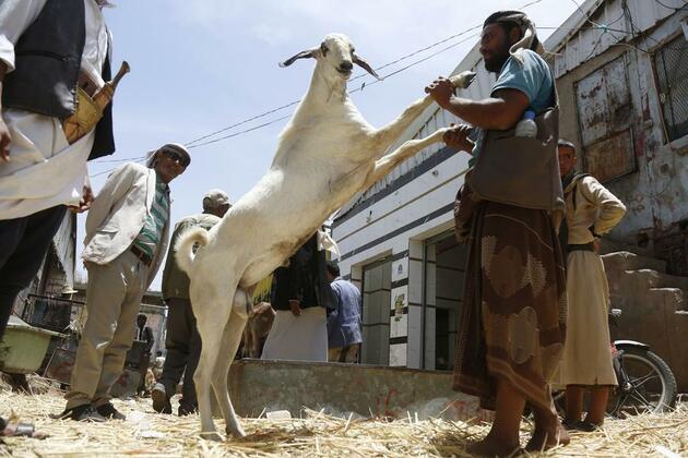 Economic hardship dims Eid al-Adha celebrations for Yemeni people