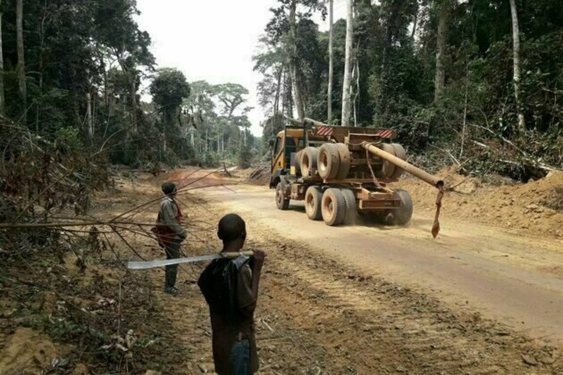 Les Baka, un modle ancestral pour preserver les forts du Cameroun