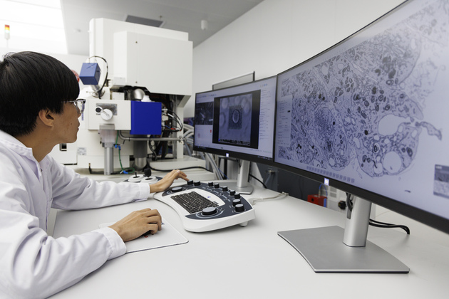 CHINA-BEIJING-BIOMEDICAL IMAGING CENTER (CN)