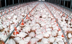 Legal bid launched to stop poultry farm expansion