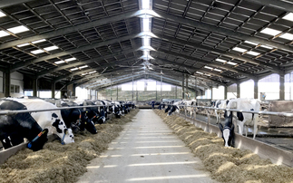 Monitoring to fine-tune the management of housed herds