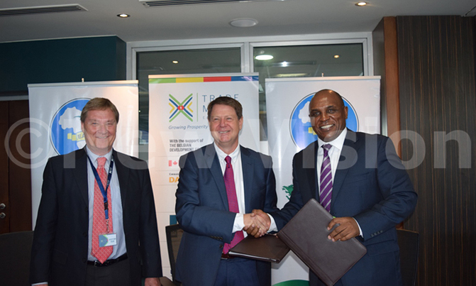 East Africa's tea trade auction set to go digital East Africa's tea trade auction set to go digital