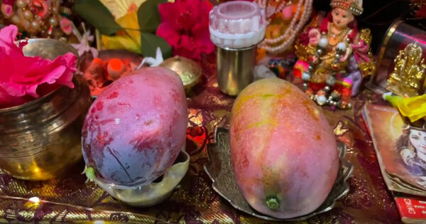 World’s costliest ‘Miyazaki’ mango supplied to Lord Ram at Ayodhya’s Ram Mandir