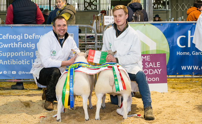 Will Gittoes and Harry Owen with the winning pair of sheep