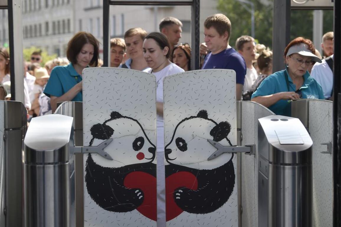 China's giant pandas draw world attention from national treasure to global cultural icon