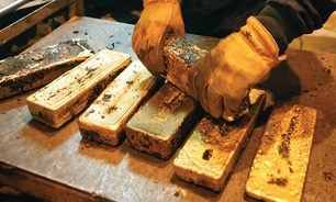 Record results for goldcos