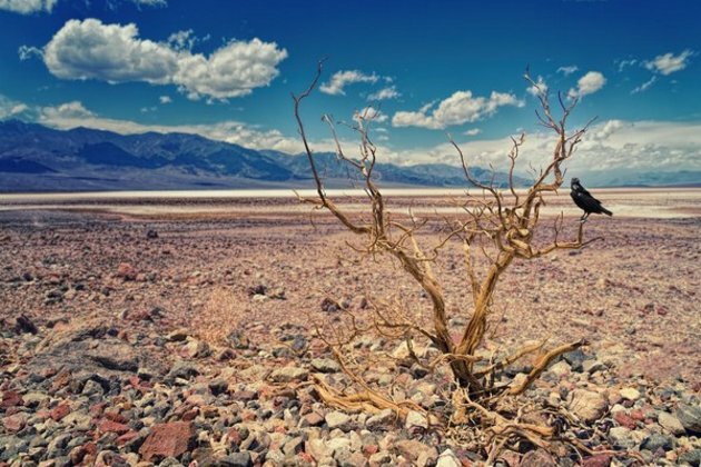 2022 summer droughts became extremely likely due to climate change