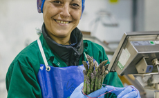 How new developments are changing the asparagus season