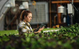 New Employer Pays Principle could force growers out of business, says study