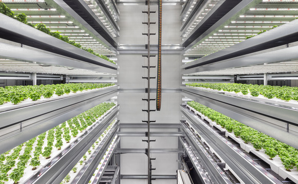 Infarm’s vertical farms can produce 500,000 plants a year | Credit: Infarm