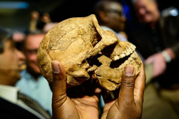Scientists find world&#039;s oldest known burial site in Africa