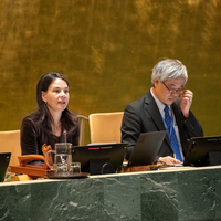 UN-GENERAL ASSEMBLY-ICJ JUDGE-ELECT