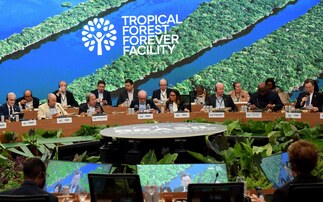 COP30: Over $5.5bn pledged to launch Tropical Forest Forever Facility