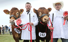 Limousins claim Burke Trophy at Royal Cornwall show 