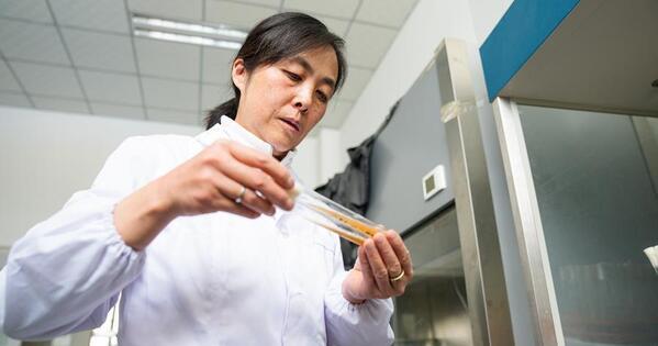 National labor medal recipient revives plateau flavors with microbial ...