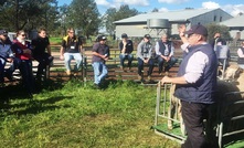 NSW tour inspires WA sheep producers