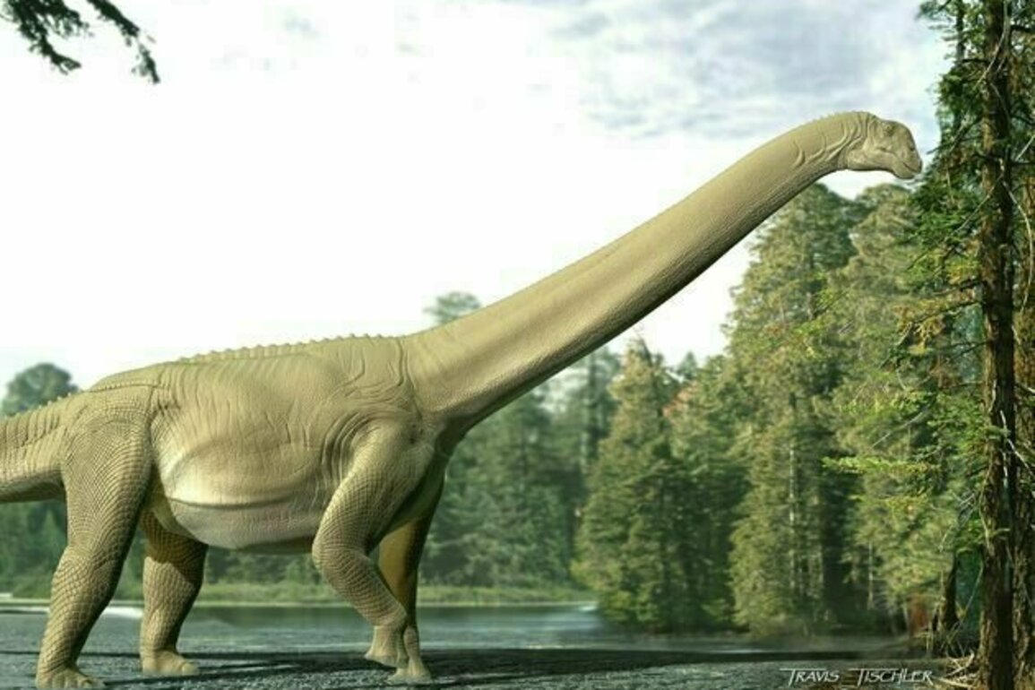For the first time, fossil stomach contents of a sauropod dinosaur reveal what they really ate