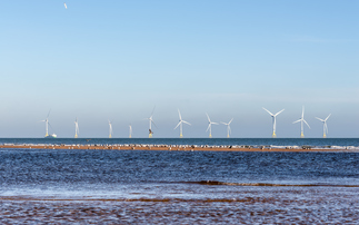 Record clean power auctions, net zero cost rows, and Winter Olympics fears