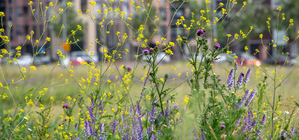 Pesticides: Why investors must sow the seeds of change