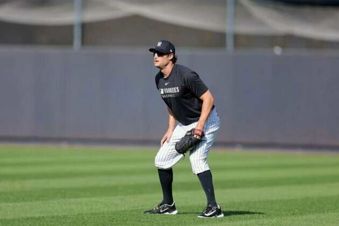 Yankees RHP Gerrit Cole throws for first time since Tommy John surgery