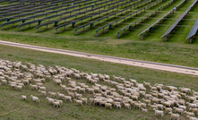 Octopus finalises deal on $900m Blind Creek