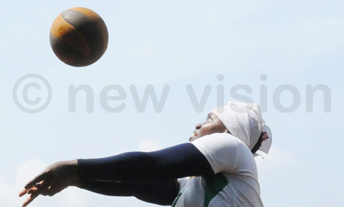 VOLLEYBALL: UVF creates two more tiers to accommodate new sides VOLLEYBALL: UVF creates two more tiers to accommodate new sides