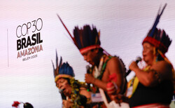 COP30: What businesses should look out for from the Belém Summit