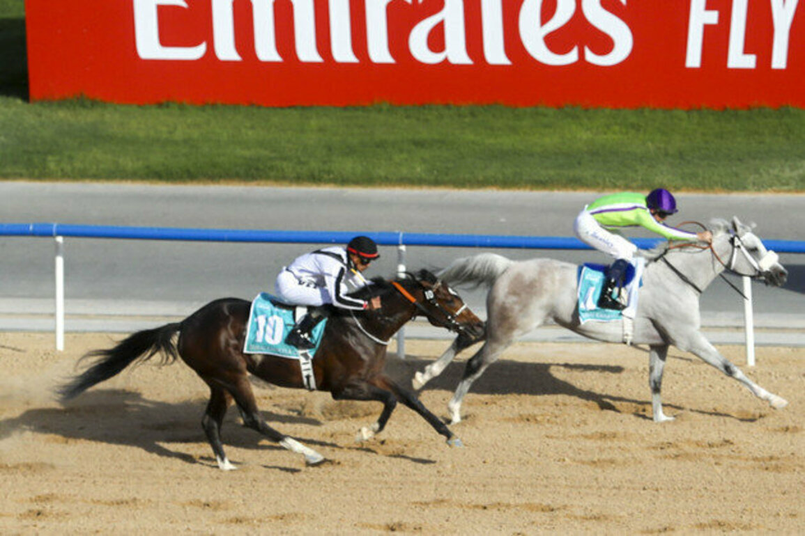 First Classs wins Dubai World Cup's Dubai Kahayla Classic