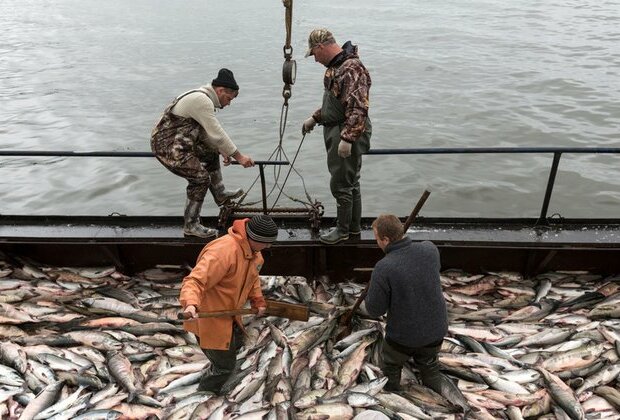 Russia plans to take advantage of China&#039;s Japanese seafood ban