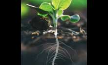  soil-organic-carbon-sequestration.jpg