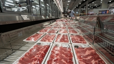 Australian beef exports to China will likely be subject to a 55 per cent tariff within weeks. 
