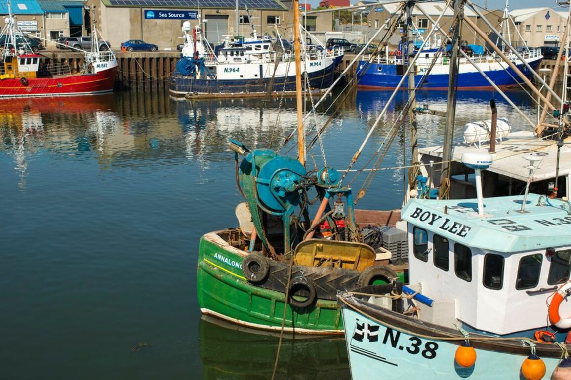 Hopes Northern Ireland's largest fishing port to get slice of 360m UK grant