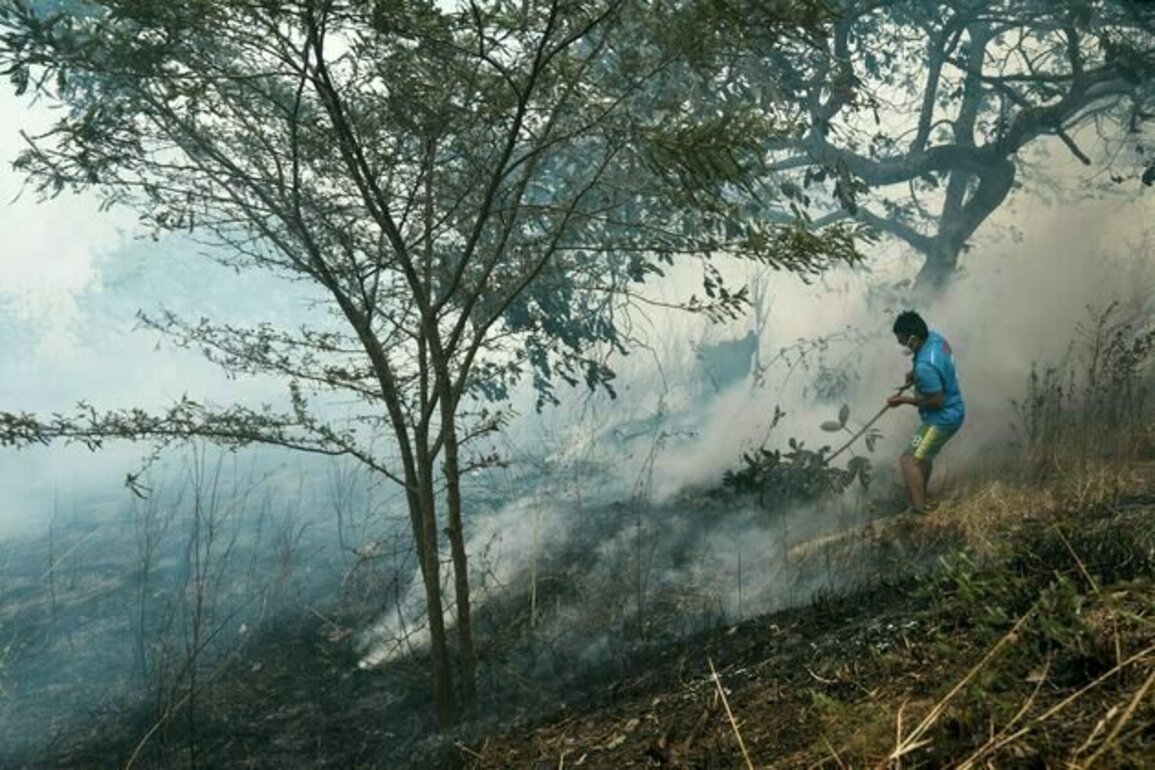 Wildfire disasters are increasingly in the news, yet less land is burning globally - here's why