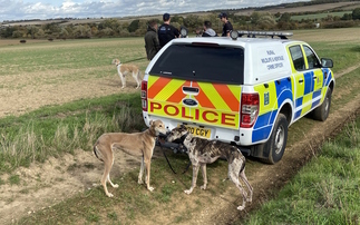 Farmer fearing for his safety after hare coursers target farm almost 200 times in just eight months