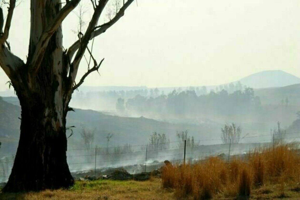 Berg winds in South Africa: the winter weather pattern that increases wildfire risks