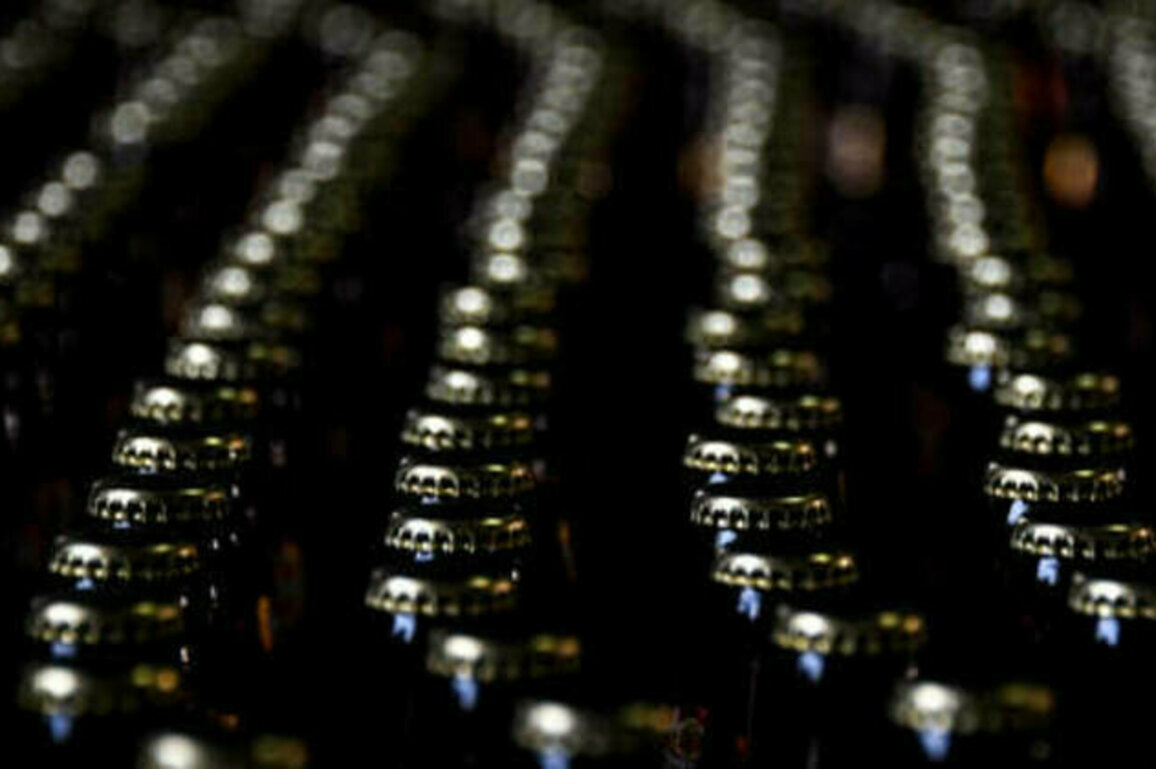 Russia ousts Germany from global top-five beer brewers - report