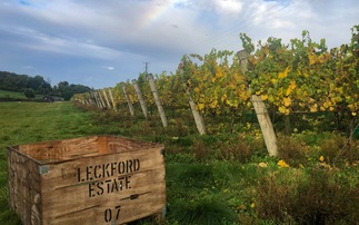 Waitrose vineyard and orchard first in UK to achieve nature-friendly farming certification