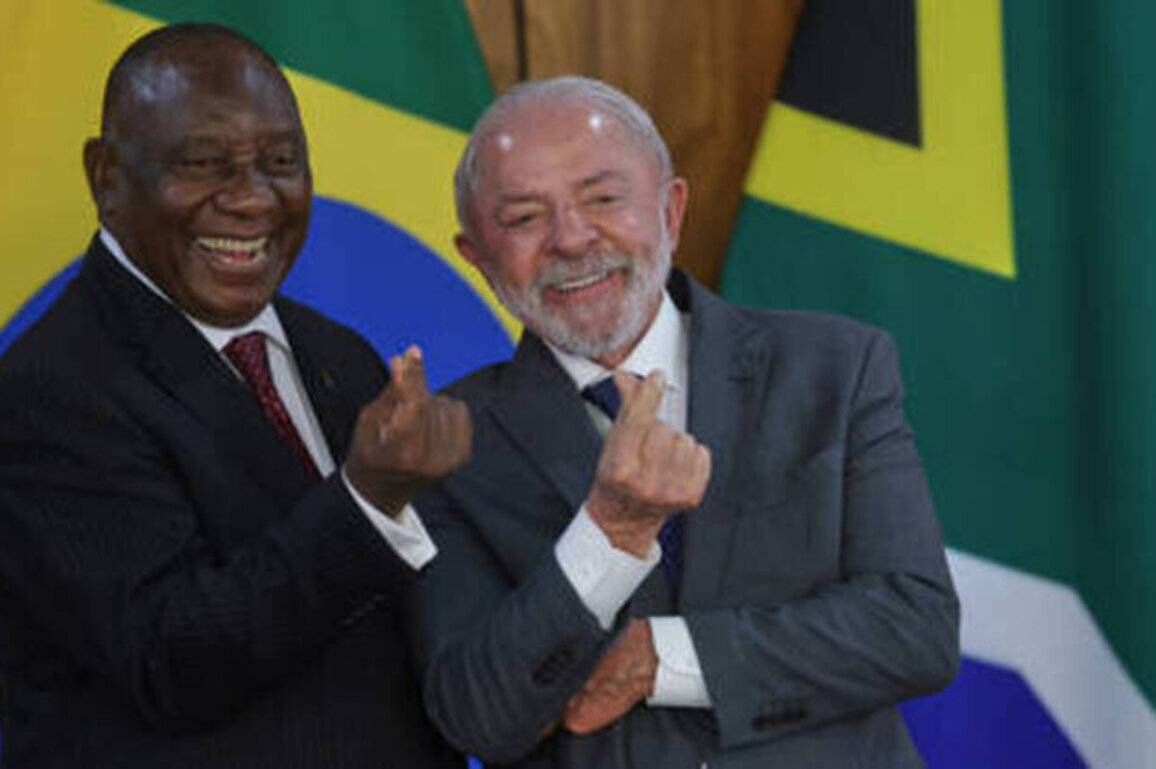 Brazil pitches defense cooperation with BRICS partner to avoid 'invasion'