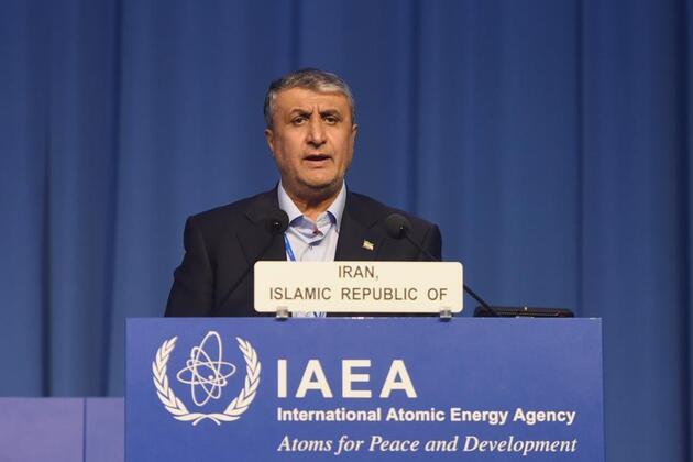 Iranian nuclear chief says Tehran may dilute 60 pct enriched uranium if all sanctions lifted